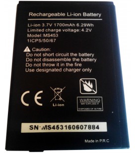 Batterie pour Smartphone