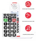 La FixMob + Siwissvoice 8155 et 5155
