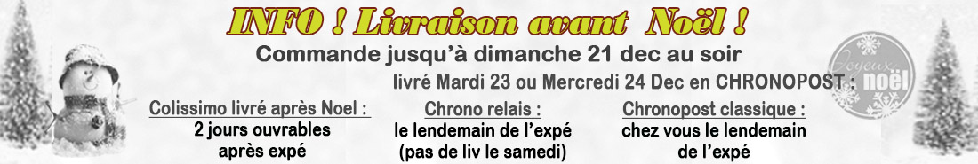 COMMANDE AVANT LUNDI 22 POUR LIV NOEL