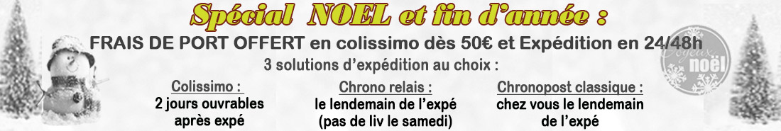 SPECIAL NOEL FIN D'ANNEE
